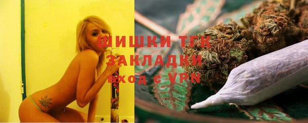 эйфоретик Арсеньев