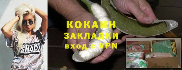 стаф Аркадак