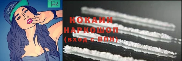 эйфоретик Арсеньев