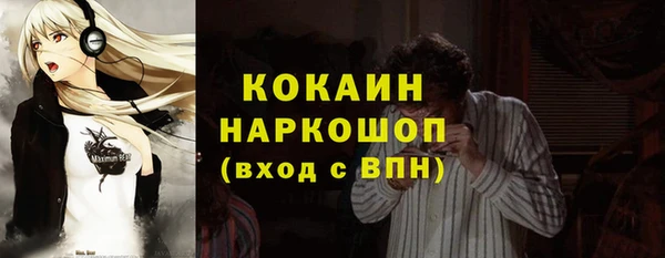 эйфоретик Арсеньев