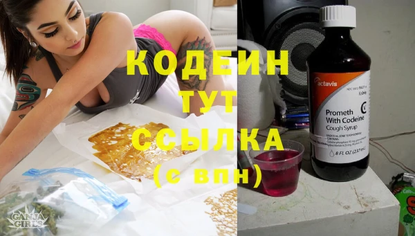 эйфоретик Арсеньев