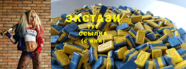 стаф Аркадак