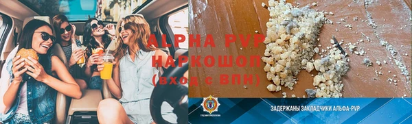 стаф Аркадак